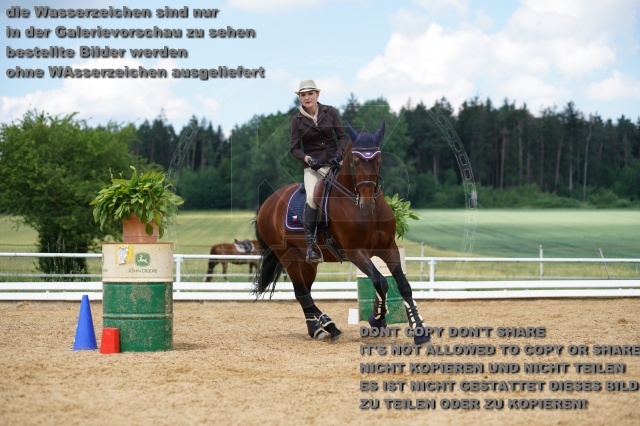 s_K3F06351.JPG